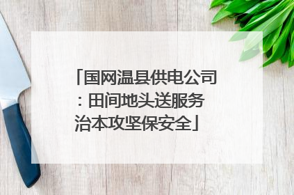 国网温县供电公司：田间地头送服务 治本攻坚保安全
